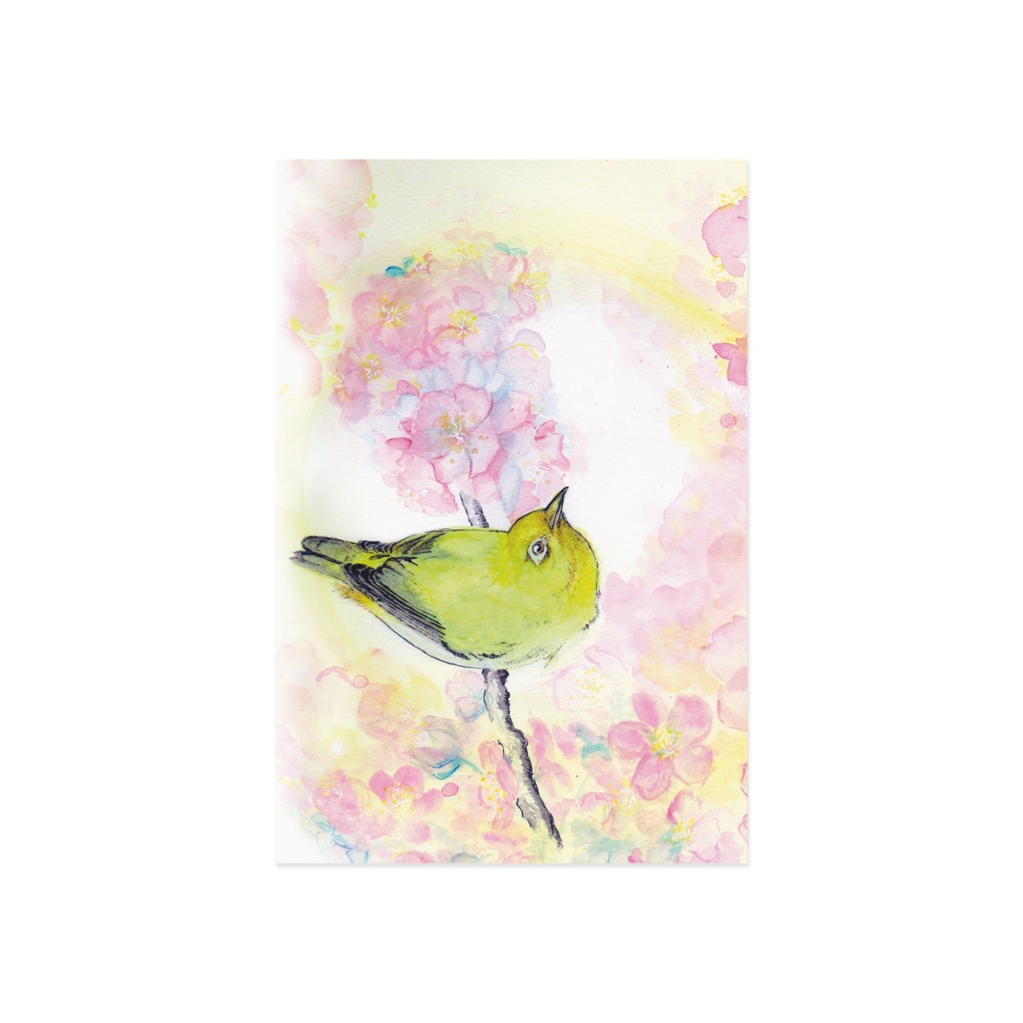 Warbler Fine Art Postcards